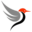 1stNet Marketing Ltd logo