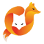 2 Fox Technology logo