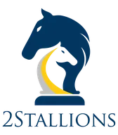 2Stallions Digital Marketing Agency logo