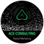 Ace Consulting LLC logo