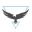 ACJ Intro Designs logo