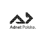 Agencja Interaktywna Adnet Polska logo