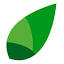A fresh leaf logo