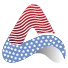 American Webs Design Studio logo