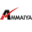 Ammaiya Services Pvt. Ltd. logo