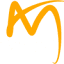 AM Web Insights Private Limited logo