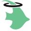 Angelfish Marketing logo