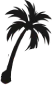 Antigua Web Solutions logo