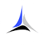 Apex Infotech India Digital Marketing Services logo