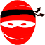 Asheville SEO Ninja logo