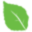 authenticWEB logo