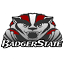 Badger State Web Services logo