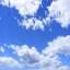 Bare Sky Marketing logo