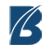 Battersea Web Expert logo