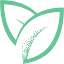 Bay Leaf Digital logo