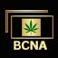 Best Copy Now Agency logo