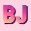 Best Jaipur logo