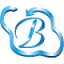 Bhavitra Technologies Private Limited logo