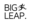 Big Leap logo