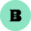 Big Partnership logo