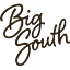 Big South logo