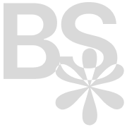 Big Steppers logo