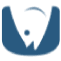 Big Tuna Web logo