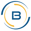 Binate IT Services Private Limited logo