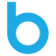 Bitnet Web Agency logo
