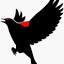 Blackbird e-Solutions LLC logo