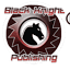 Black Knight Publishing logo