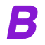 BlindSeer Pty Ltd logo