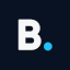 blink. logo