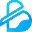 Blisstech Multimedia and Cybernetics Technology logo