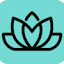 Bloomify logo