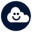 Blue Ark Solutions logo