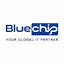 Bluechip Computer Systems logo
