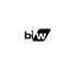 Blue Ink Web logo