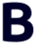 Bluekat Digital logo