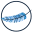 Blufeather Designs logo