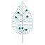 Bnode Ltd logo