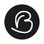 Bogdan Biris logo
