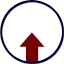 Boise SEO Company logo
