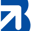 Braandix Business Consultancy logo