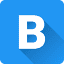 Brandignity logo