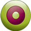 Brand Visage Communications logo