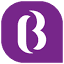 Brioworkx IT Services Pvt Ltd logo