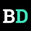 Brizzo Digital logo