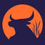 Bull Media Ltd. logo