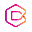 Burhani Digital Inc. logo